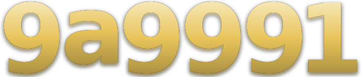 9a9991 logo